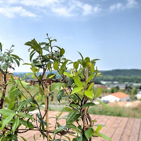 L'Elegante Confort, Clim & Vue Imprenable Bassillac 외부 사진